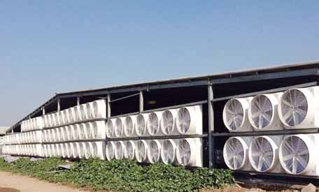 濟(jì)寧玻璃鋼風(fēng)機(jī)的選擇,玻璃鋼風(fēng)機(jī)的種類